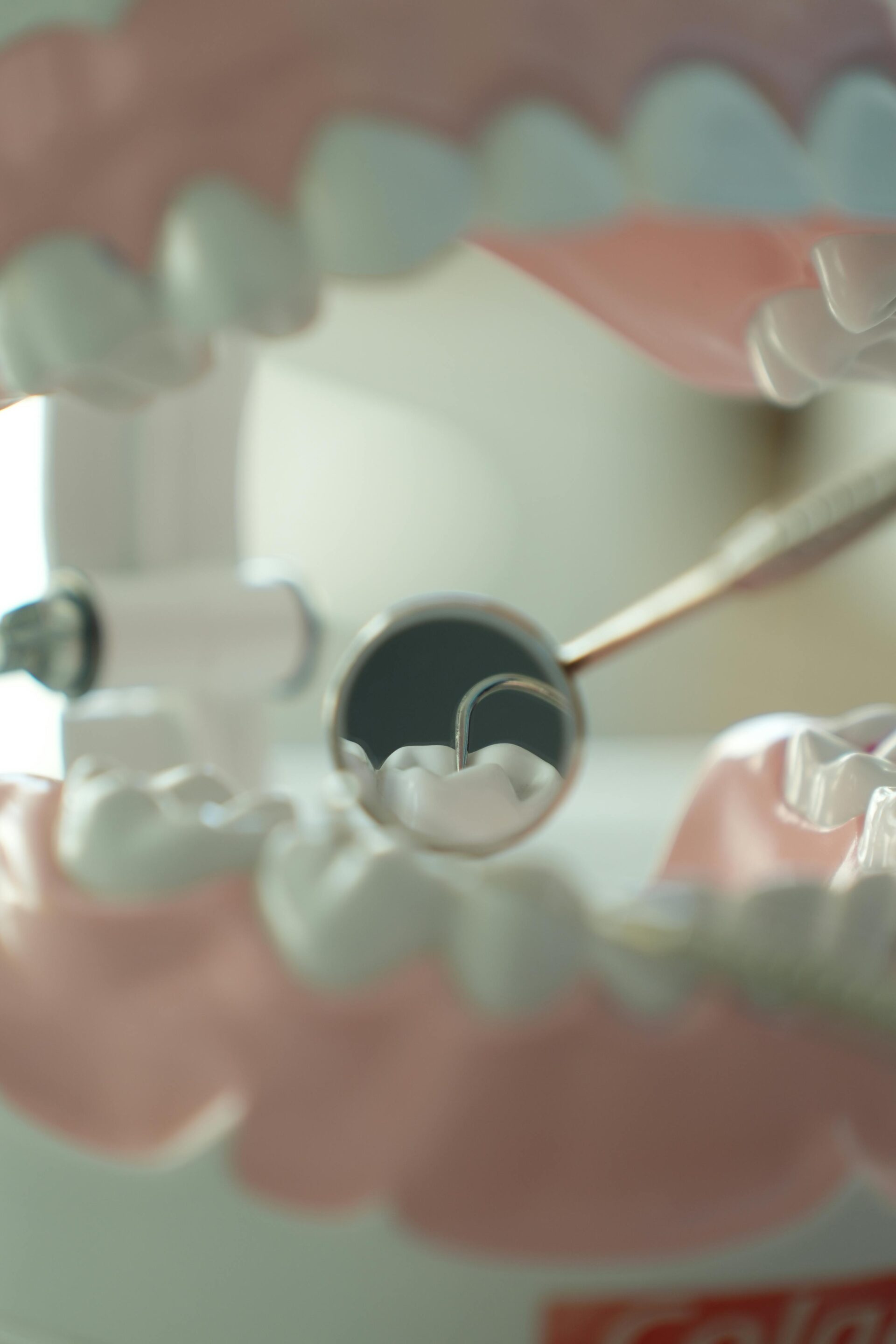 Dental model and mirror for patient education