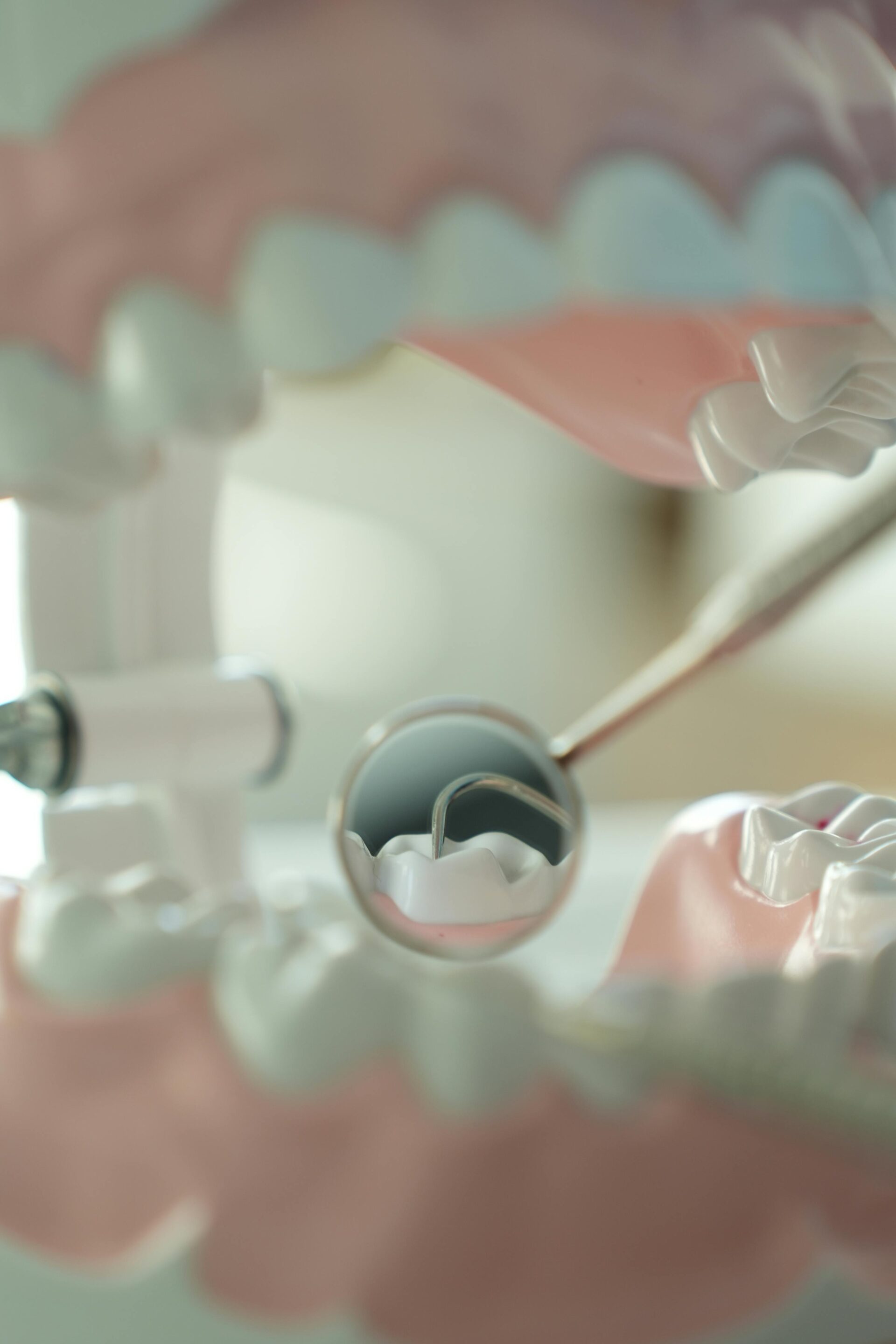 Dental model and mirror for oral examination
